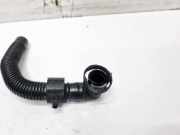 Entlüftungsschlauch Kraftstoffbehälter Volkswagen Golf, V 2003.10 - 2008.10 036103493EC, BCA