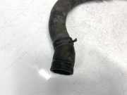 Kühlerschlauch Volkswagen Golf, VI 2008.10 - 2012.06 1k0122291bm, CBDC