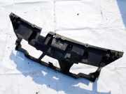 Schloßträger Renault Scenic, II 2003.06 - 2006.06 Gebraucht,