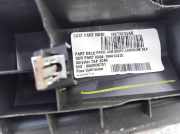 Zierleiste Dodge Journey. 2009.01 - 2014.12 100013415, 100000398