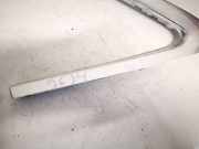 Zierleiste Leiste - Hinten Linke Audi A4, B7 2004.11 - 2008.06 Gebraucht,