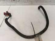 Kabel Nissan Primera, P12 2002.01 - 2008.12 Gebraucht,
