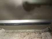 Zierleiste Tür Zier-Schutzleiste - Hinten Linke Ford Fusion, 2002.08 - 2009.12 rudos,