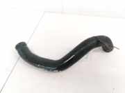 Kühlerschlauch Alfa-Romeo 147, I 2000.11 - 2004.09 B249,60685104