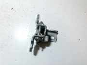 Türscharnier Vorne Renault Scenic, III 2009.02 - 2013.06 804000016rd,300y0
