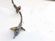 Lambdasonde - 4 Drähte WEISS SCHWARZ SCHWARZ BLAU Lexus IS, II 2005.10 - 2013.03 8946753010, 89467-53010