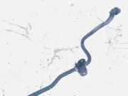 Stabilisator Vorne Mazda 3, BL 2009.06 - 2013.06 Gebraucht,