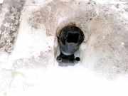Waschwasserpumpe Scheibenreinigung Renault Laguna, II 2001.03 - 2006.05 Gebraucht,