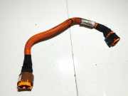 Kabelbaum Renault Zoe I 2012 - 2020.06 290e10279r,1682014 415l2 f336010g