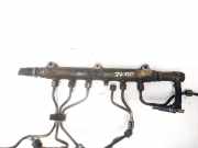 Kraftstoffverteiler Volvo S60, 2000.01 - 2005.01 0445215010, 005008