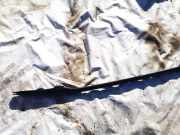 Dachreling Rechts Mazda 6, 2002.06 - 2007.08 Gebraucht,