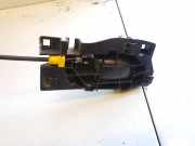 Türinnengriff - Hinten Linke Peugeot 207, 2006.02 - 2009.06 303966,