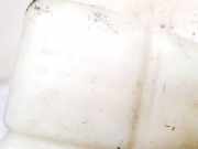 Ausgleichsbeh?lter Chevrolet Captiva, 2006.01 - 2011.06 96629078,