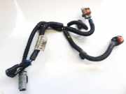 Kabelbaum Citroen C5, II 2008.02 - 2011.01 9687386880,9687386880