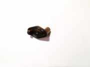 Gleitschiene Steuerkette Land-Rover Freelander, 1998.02 - 2006.10 Gebraucht,