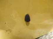 Waschwasserd?se Scheibenreinigung Chevrolet Aveo, 2007.12 - 2011.06 facelift Gebraucht,