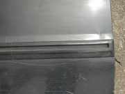 Zierleiste Tür Zier-Schutzleiste - Vorne Rechts Land-Rover Discovery, 1989.10 - 1998.10 Gebraucht,