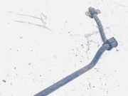 Stabilisator Stabi Hinten Hinterachse Volkswagen Sharan, 7M 1995.09 - 2000.04 Gebraucht ,