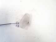 Innenraumleuchte Renault Scenic, II 2003.06 - 2006.06 8200074365,