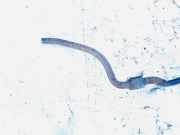 Stabilisator Vorne Renault Scenic, I 1999.09 - 2003.06 facelift Gebraucht ,