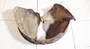 Radhausschale - Vorne Linke Skoda Octavia, II 2004.02 - 2009.03 1z0809953d,