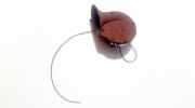 Hupe Audi 80, B3 1986.06 - 1991.09 Gebraucht,