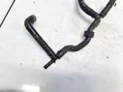 Kühlerschlauch Volkswagen Polo, IV 2005.04 - 2009.11 facelift 6q0122447ct, BNM