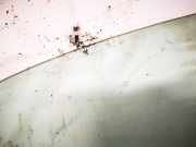 Seitenscheibe - Vorne Linke Opel Vectra, B 1995.09 - 2000.09 as2,