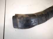 Schlauch für Luftversorgung Skoda Fabia, I 6Y 1999.08 - 2005.10 6q0129618g,