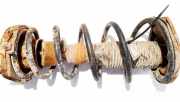 Fahrwerksfeder Hinterachse Mazda 323F, 1998.09 - 2004.05 Gebraucht,