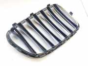 Kühlergrill Frontgrill Kühlergitter BMW X1, E84 2009.01 - 2015.06 10627110, 51112993307
