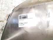 Hauptscheinwerfer - Vorne Linke Renault Scenic, II 2003.06 - 2006.06 153873,