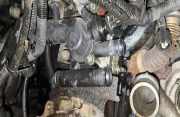 Thermostat Nissan Primera, P12 2002.01 - 2008.12 Gebraucht,