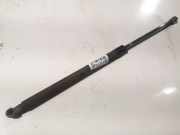 Gasdruckfeder Kofferraum Audi A3, 8P 2003.05 - 2005.06 Gebraucht,
