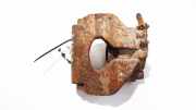Bremssattel - Vorne Rechts Volkswagen Sharan, 7M 2000.04 - 2005.11 facelift Gebraucht, AUY
