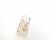 Innenraumleuchte Citroen C3 Picasso, I 2009.02 - 2012.06 Gebraucht,