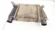 Ladeluftkühler Nissan Juke, I F15 2010.06 - 2019.06 14461EM00A,14461EM00A IA1456