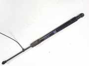 Gasdruckfeder Kofferraum Toyota Avensis, III 2012.06 - 2015.06 facelift 6896005081,68960-05081