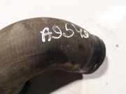 Kühlerschlauch Nissan Primera, P12 2002.01 - 2008.12 Gebraucht,