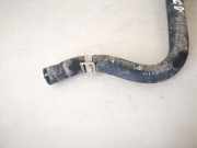 Kühlerschlauch Opel Vectra, C 2002.04 - 2005.10 9202117,