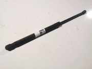 Gasdruckfeder Kofferraum BMW 1-Series, E87 E88 2006.11 - 2011.09 facelift Gebraucht,