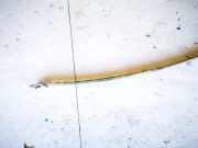 Halteband Kraftstoffbehälter Audi A6, C5 1997.01 - 2001.08 4b0201653l,