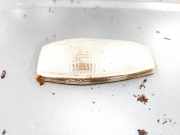 Blinkleuchte Kotflügel - Vorne Rechts Hyundai Getz, 2002.08 - 2009.06 Gebraucht,