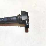 Zündspule Porsche Cayenne, 2002.01 - 2010.06 94860210405, 0040102002