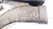 Schlauch für Luftversorgung Peugeot 508, 2010.11 - 2018 9686453180, 1003346XBS