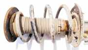 Fahrwerksfeder vorne Ford Mondeo, 2007.03 - 2013.06 Gebraucht,