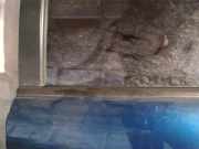 Zierleiste Leiste - Hinten Linke Mazda 6, 2002.06 - 2007.08 Gebraucht,