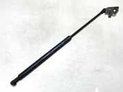 Gasfeder für Motorhaube Lexus IS, II 2005.10 - 2013.03 534500w081,53450-0w081