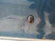 Waschwasserd?se Scheibenreinigung Nissan Almera Tino 2000.08 - 2003.09 Gebraucht,