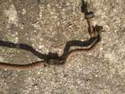 Stabilisator Stabi Hinten Hinterachse Toyota RAV-4, III 2005.11 - 2012.12 Gebraucht,